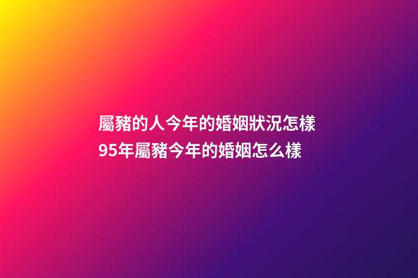 屬豬的人今年的婚姻狀況怎樣 95年屬豬今年的婚姻怎么樣-第1張-觀點-玄機(jī)派